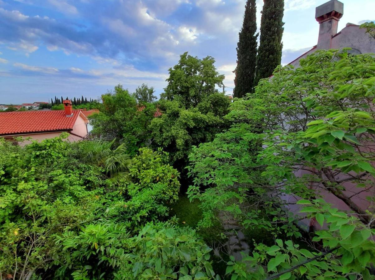 Traditional Istrian Stone House Šmarje Zewnętrze zdjęcie