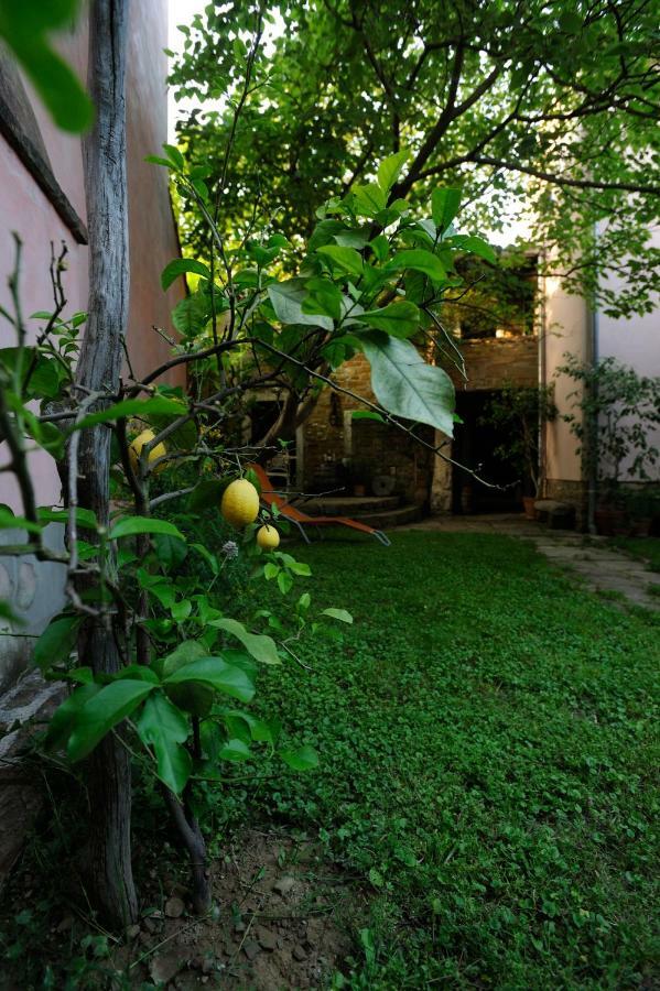 Traditional Istrian Stone House Šmarje Zewnętrze zdjęcie